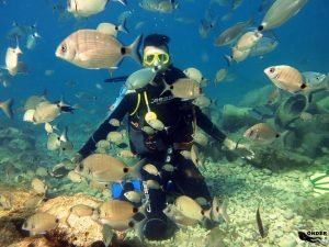 Fethiye Dalış Fotoları