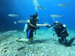 Fethiye T&uuml;pl&uuml; Dalış Fiyatları&nbsp;2026