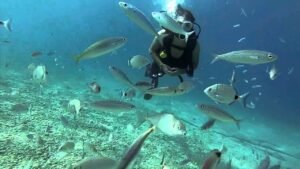 Scuba Diving Experience in Fethiye